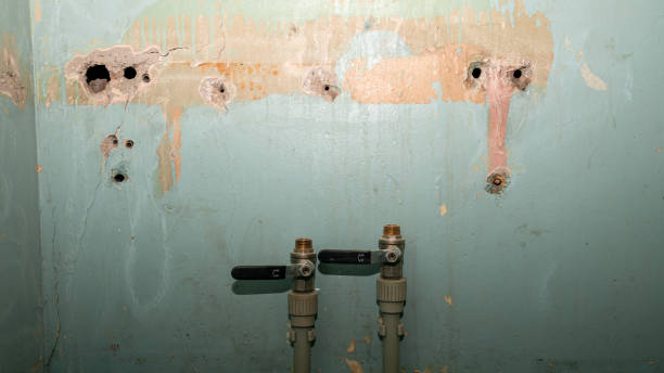 Best Water damage restoration insurance claims  in Watchung, NJ