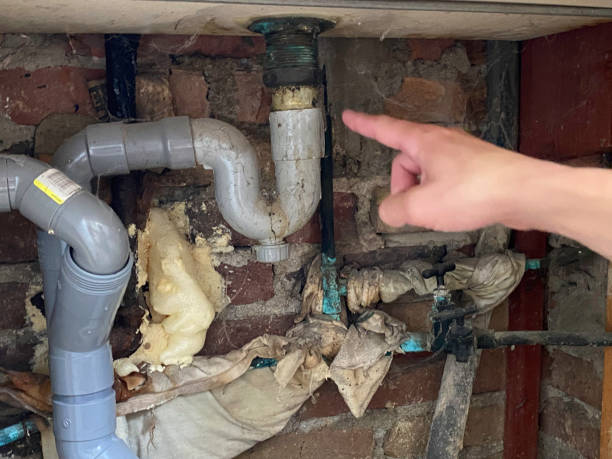 Best Water damage restoration near me  in Watchung, NJ